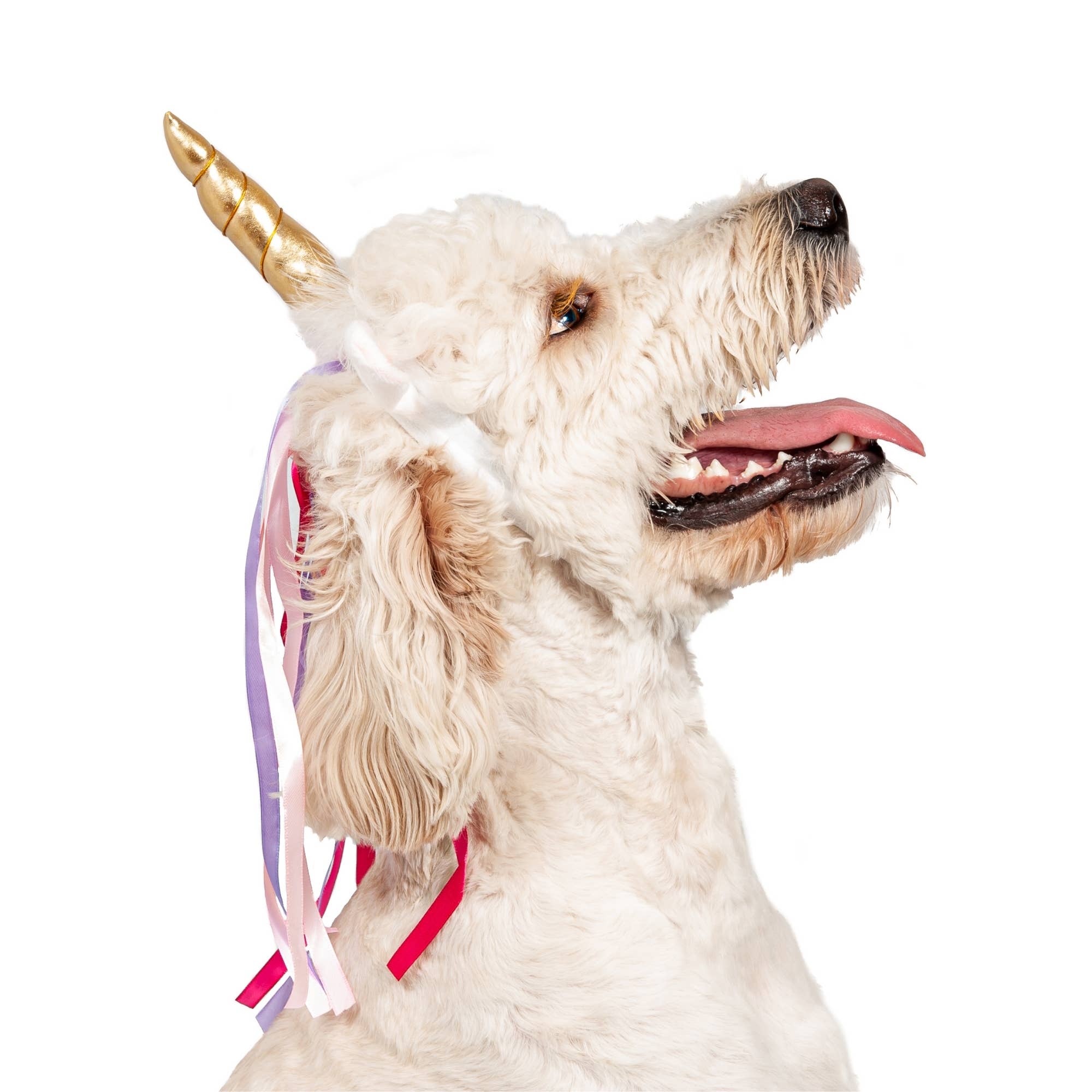 Midlee Dog Unicorn Headband Halloween Costume
