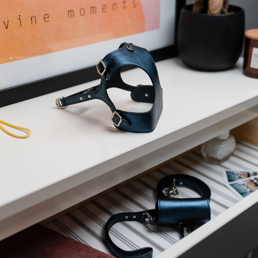 HANDMADE LEATHER SET - Blue