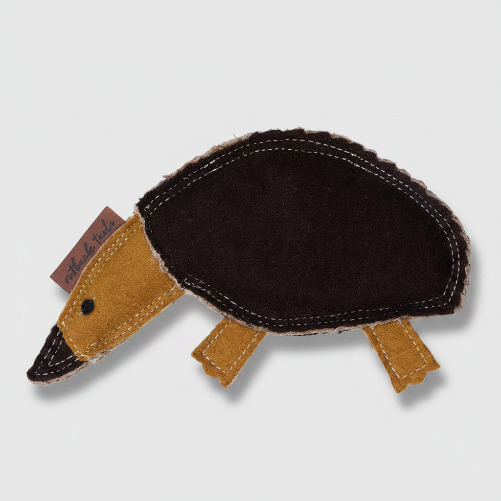 ED The Echidna