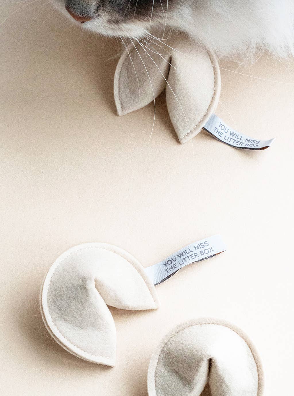 KITTY FORTUNE COOKIE (Options Available): Blame It on the Dog