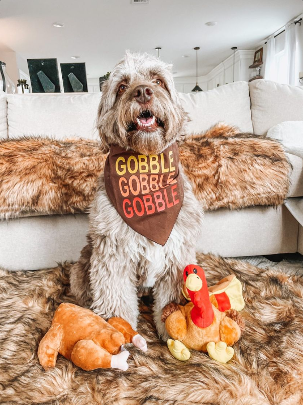Midlee Roasted Thanksgiving Turkey Plush Dog Toy: Small