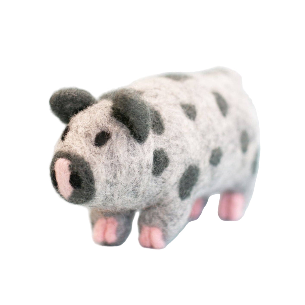 OCHO THE PIG from Aska's Animals