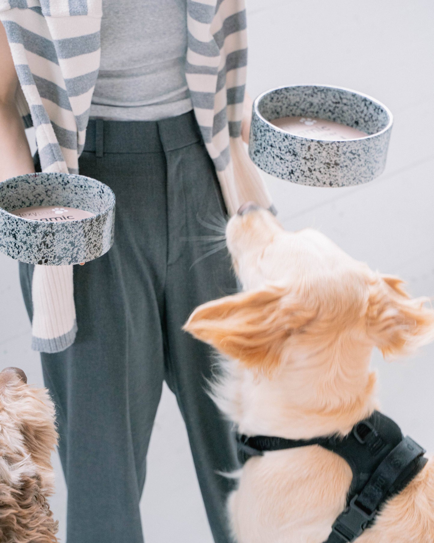 Salt & Pepper Ceramic Dog Bowl: 8 Inches