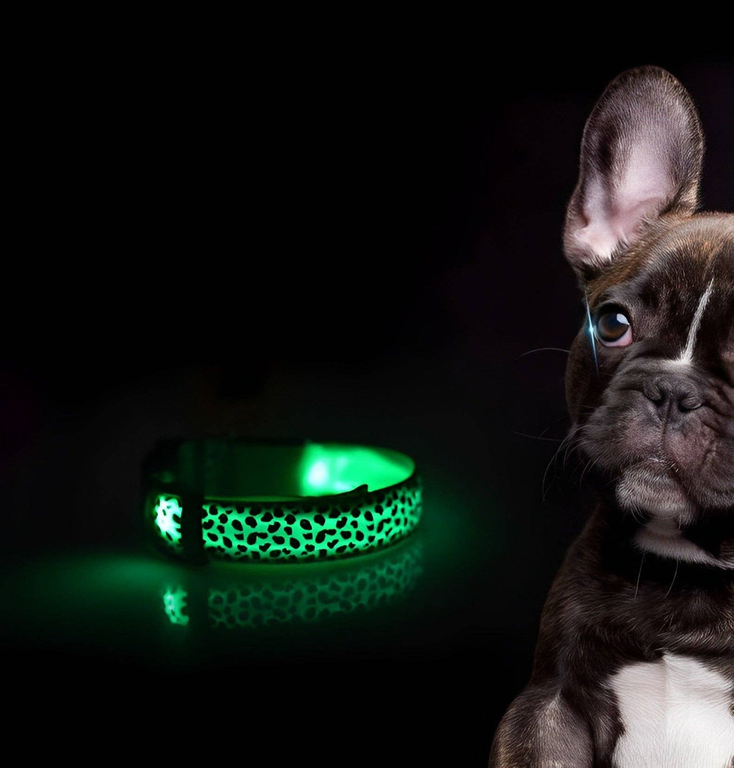 LED Dog Collar: Green / M