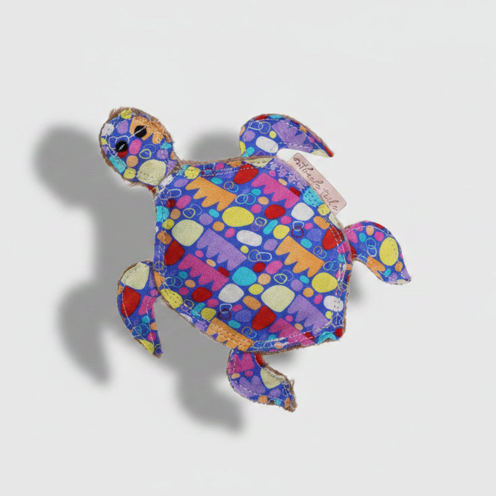 TERRY the Turtle