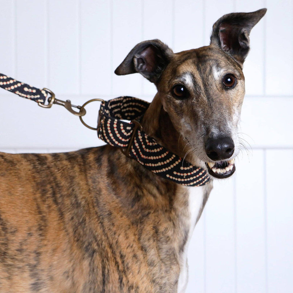 MARTINGALE Collar - Fire Country Dreaming