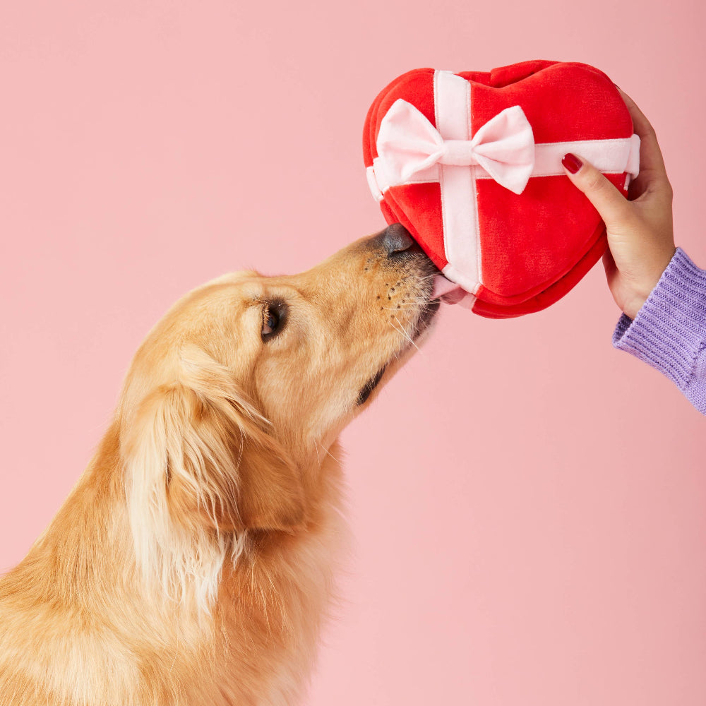 HEART SNUFFLE Dog Toy