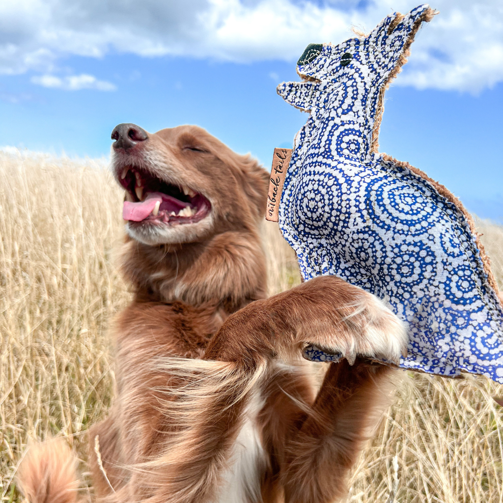 STINKY the Desert Dog Chew Toy
