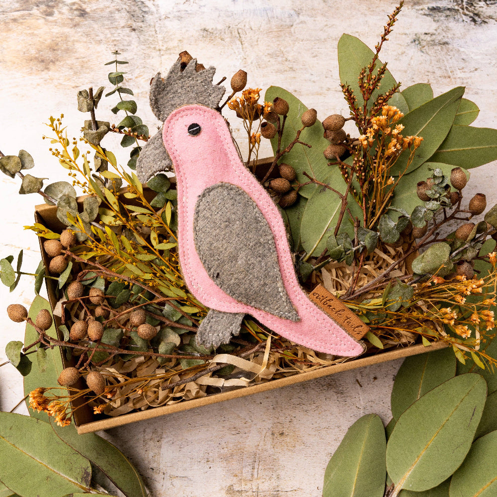 GERTIE The Galah