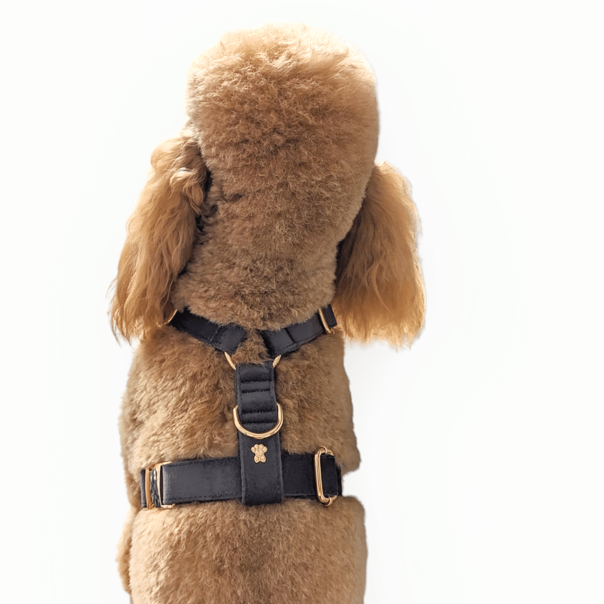 Luxe Velvet "No-Pull" Harness - Slate Grey: X Large