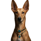 Bespoke Birthstone Collars