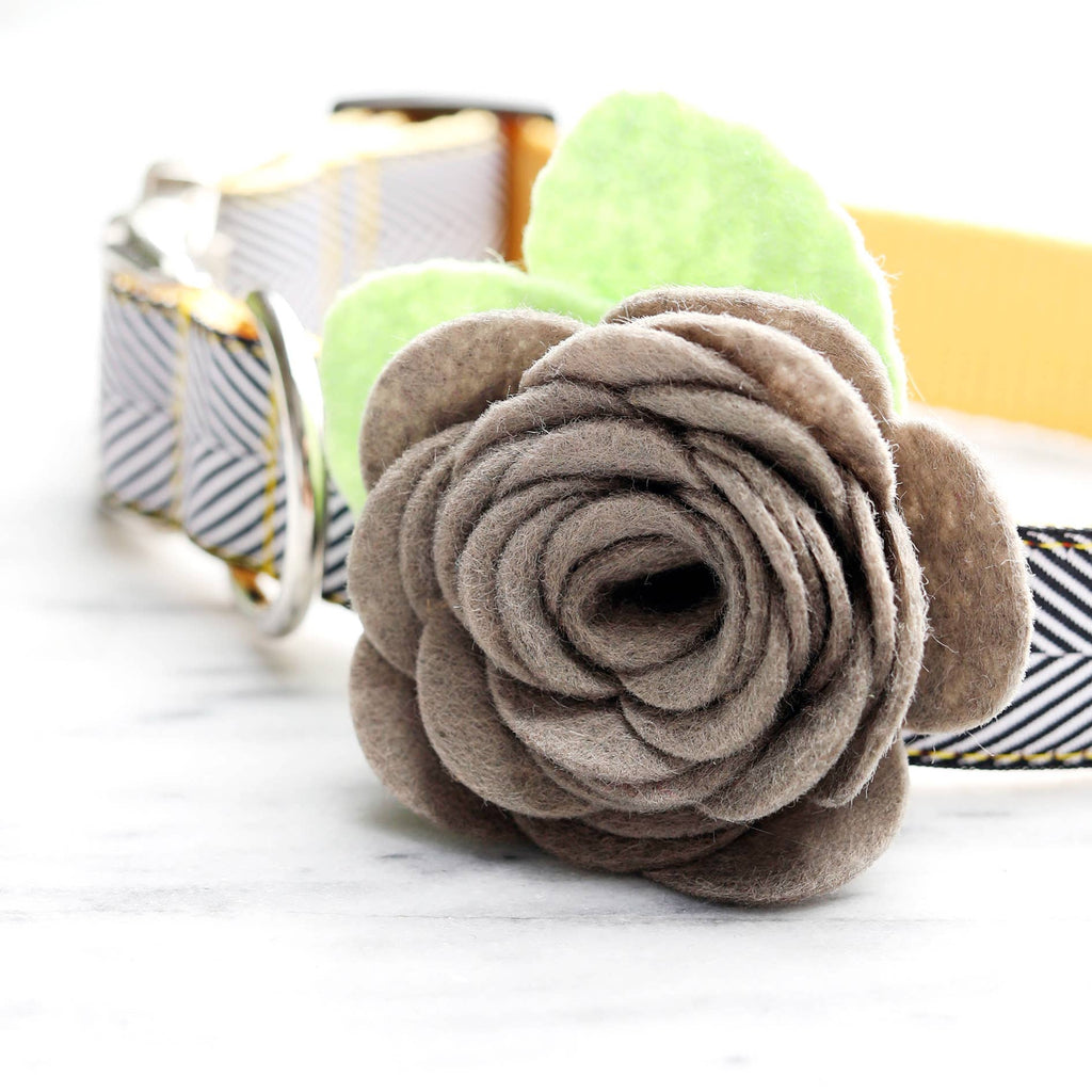 Dog Collar Rose Flower