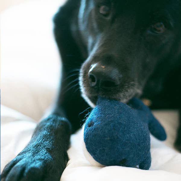 WHALE WOOL TOY