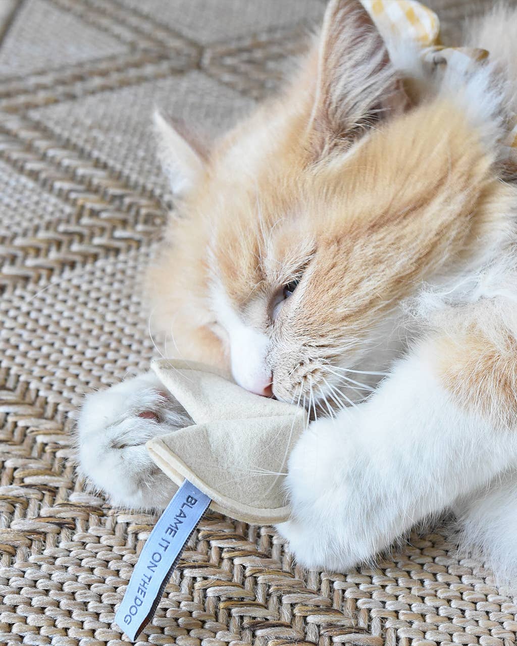 KITTY FORTUNE COOKIE (Options Available): Blame It on the Dog