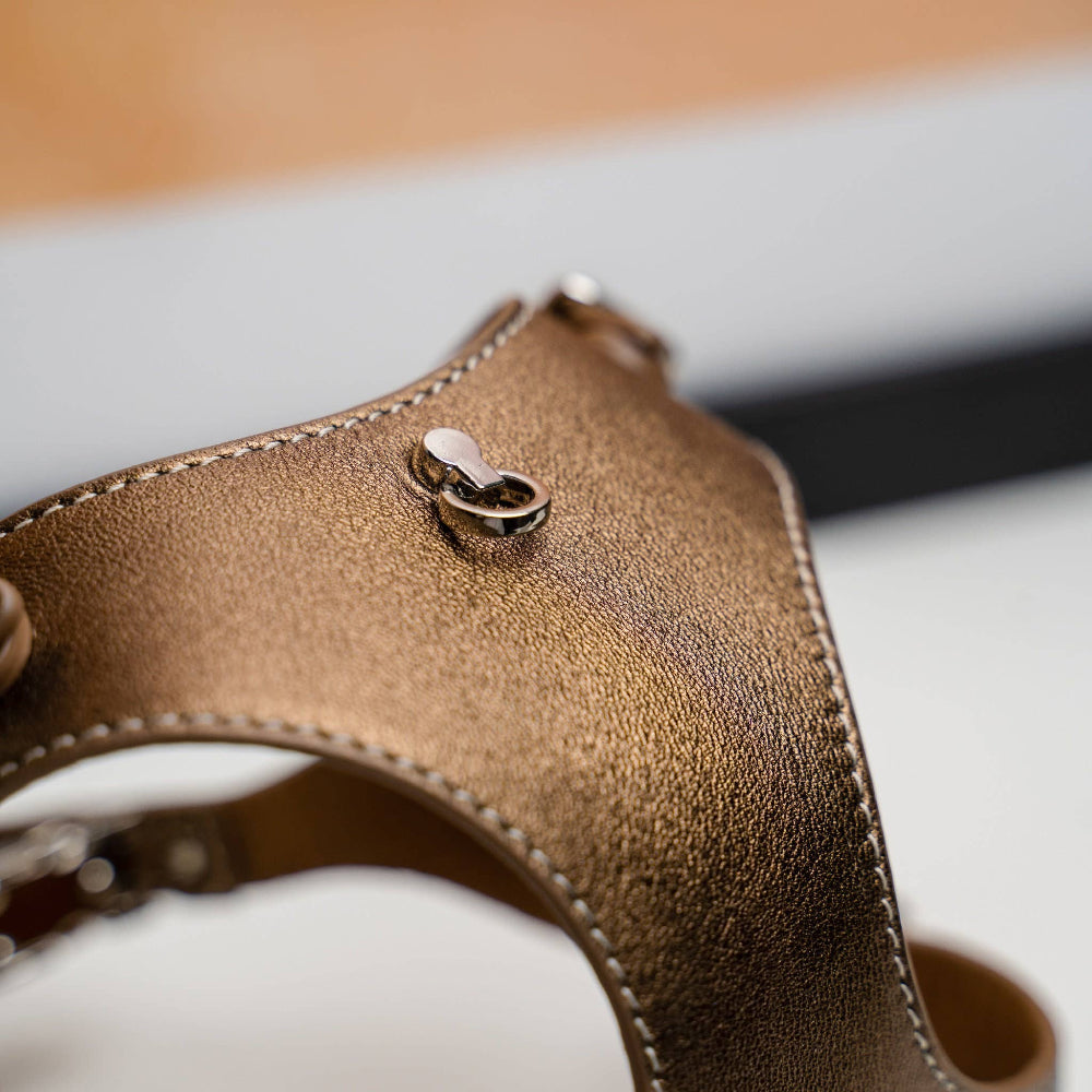HANDMADE LEATHER SET - Bronze