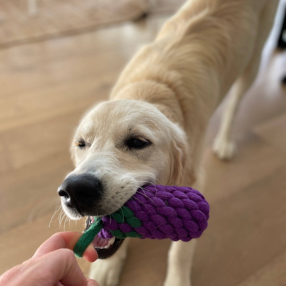 EGGPLANT Rope Toy
