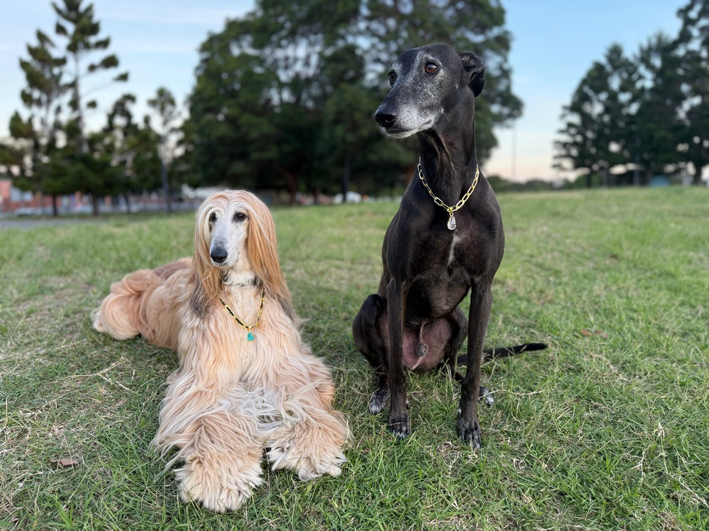 BLONDIE & VINYL WITH BIRTHSTONES