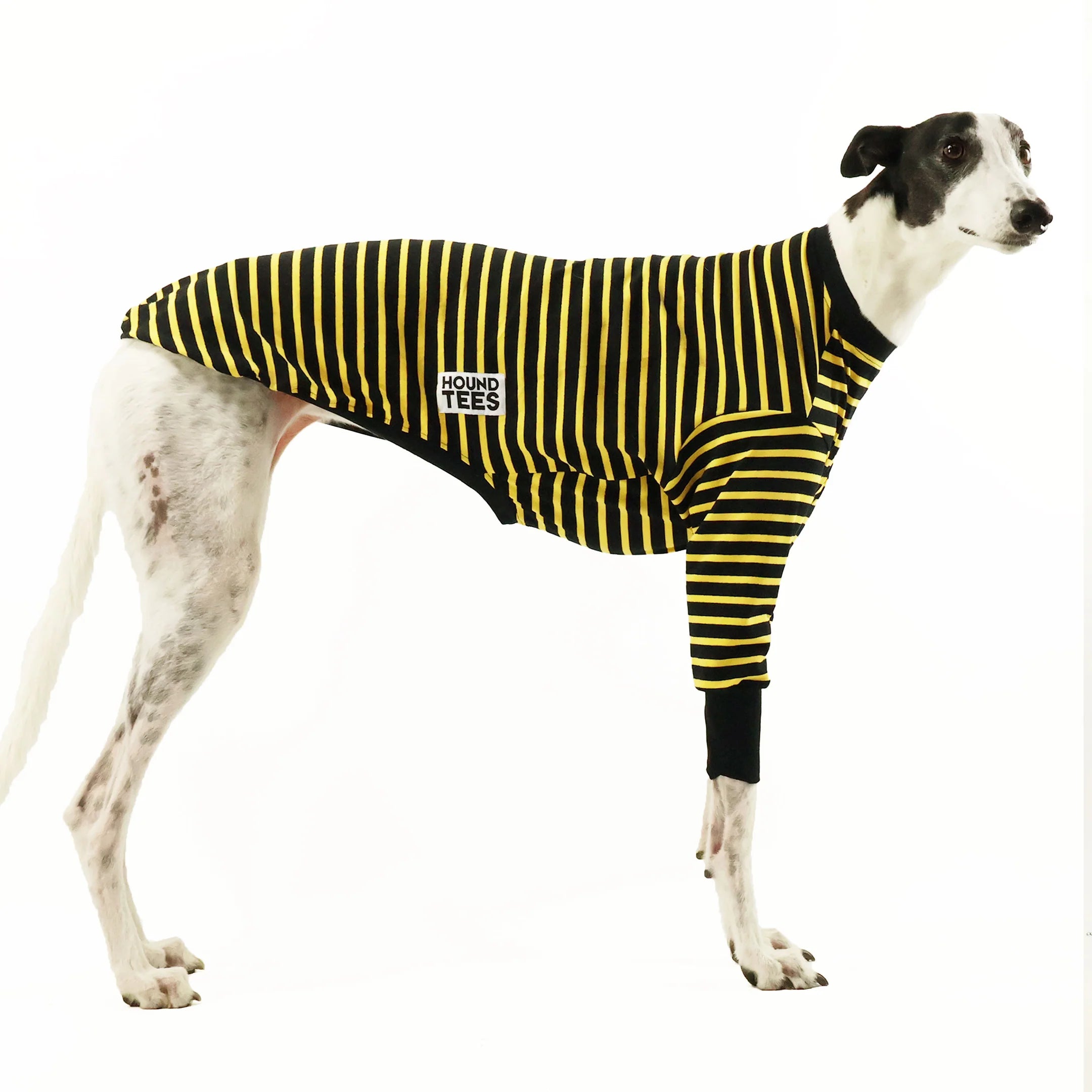 Bumble Greyhound Hound-Tee