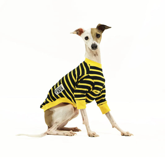 Bumble Iggys Long Sleeve Hound-Tee