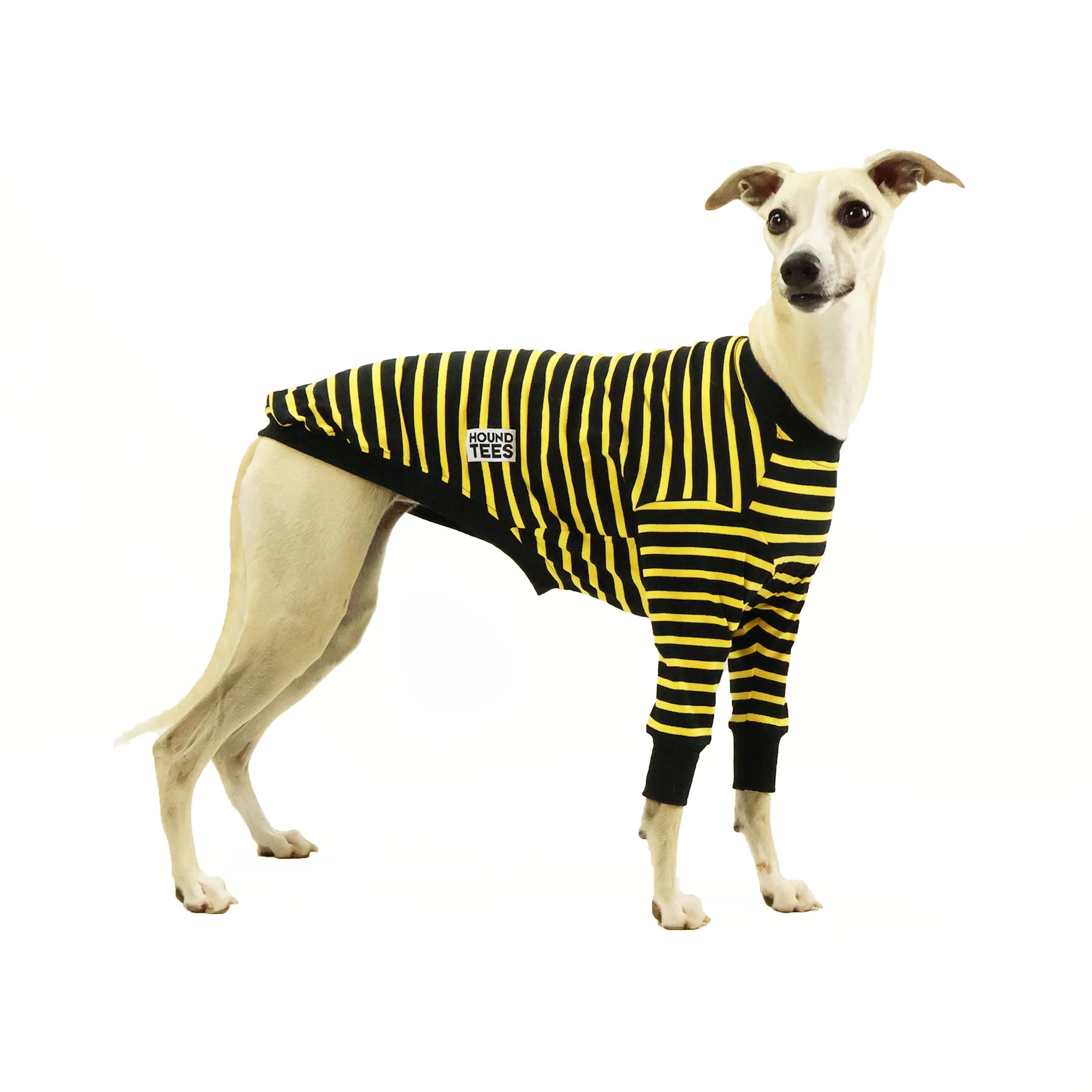 Bumble Whippet Hound-Tee