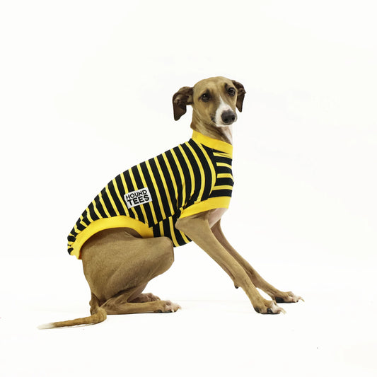 Bumble Iggys Sleeveless Hound-Tee