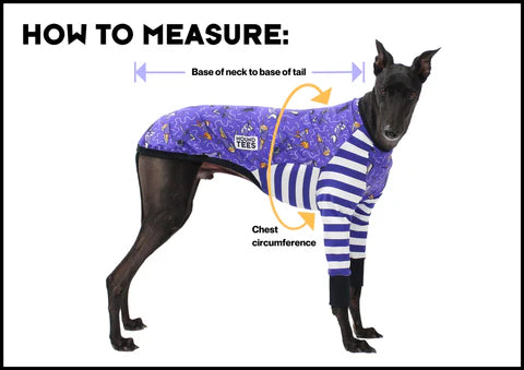 Bumble Iggys Long Sleeve Hound-Tee