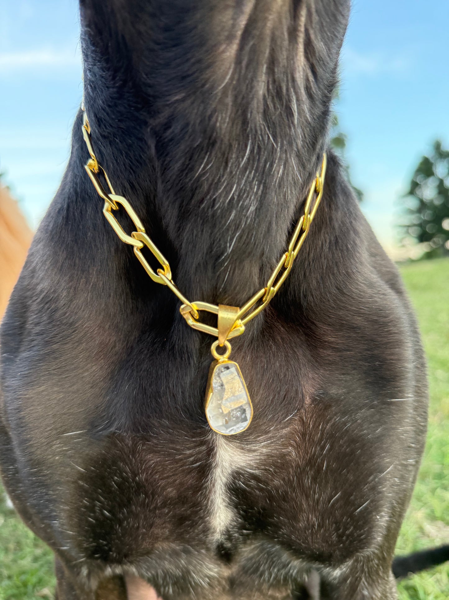 Birthstone Collars