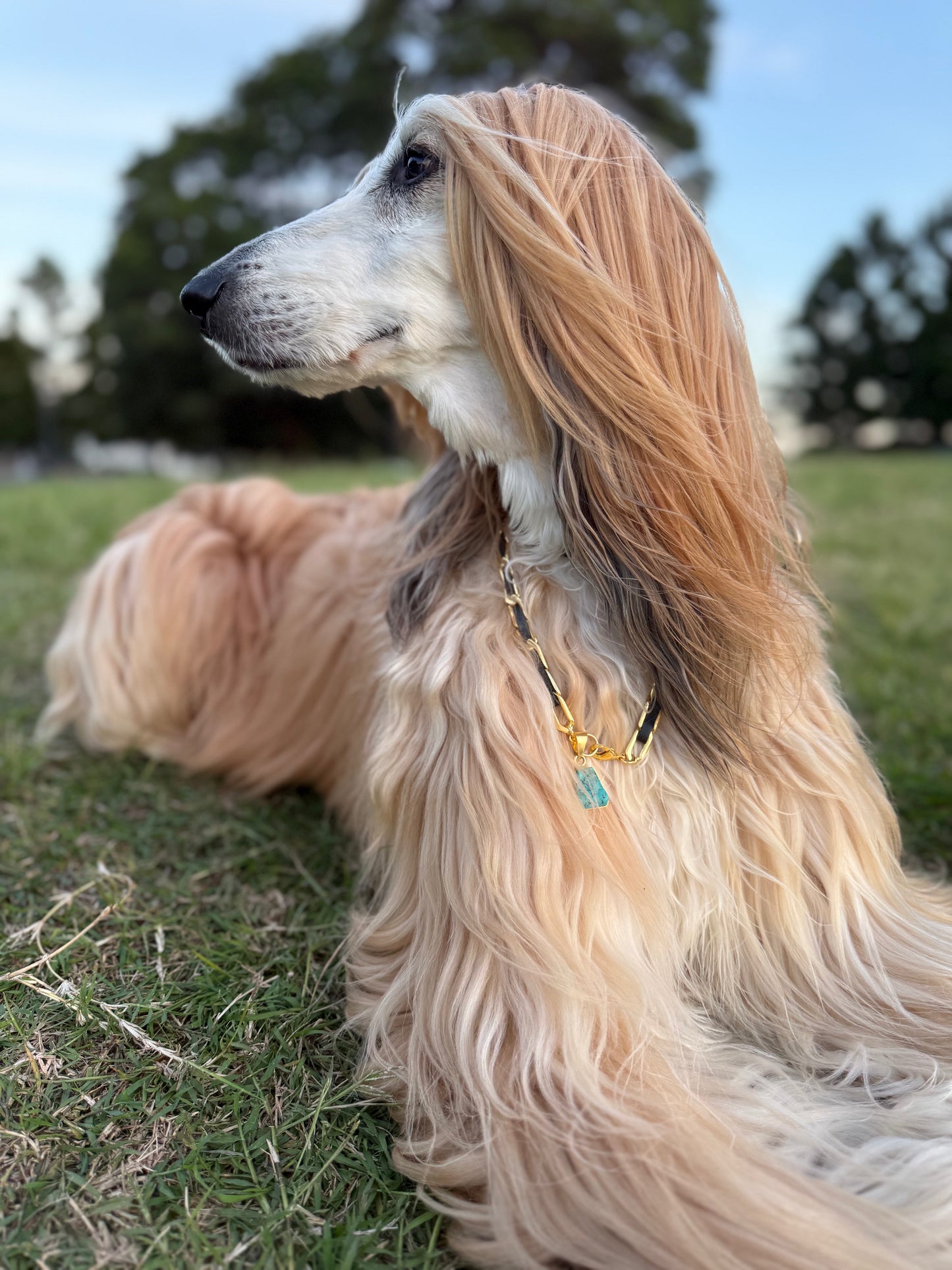 Birthstone Collars