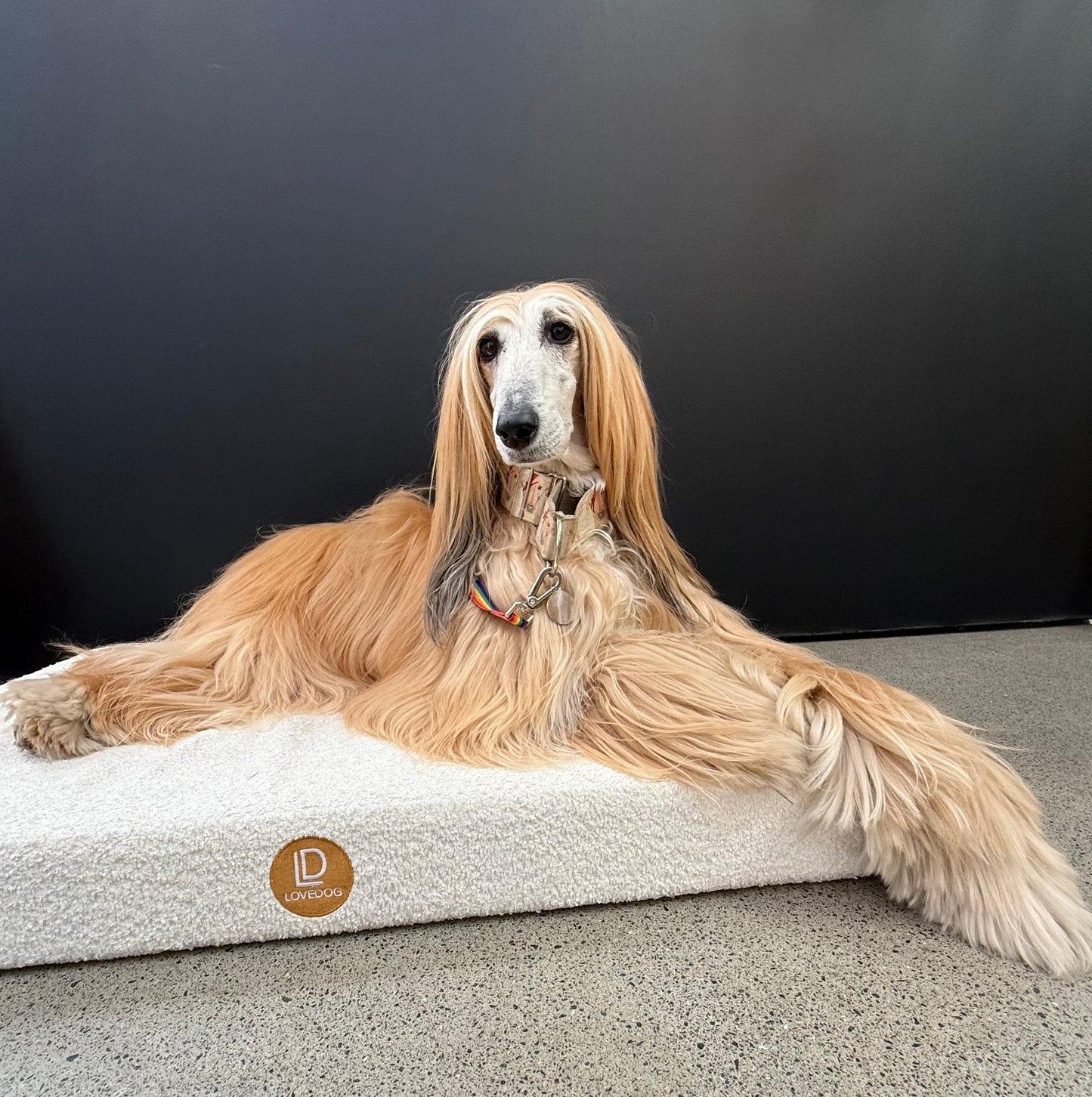 LOVEDOG Boucle PlushMat