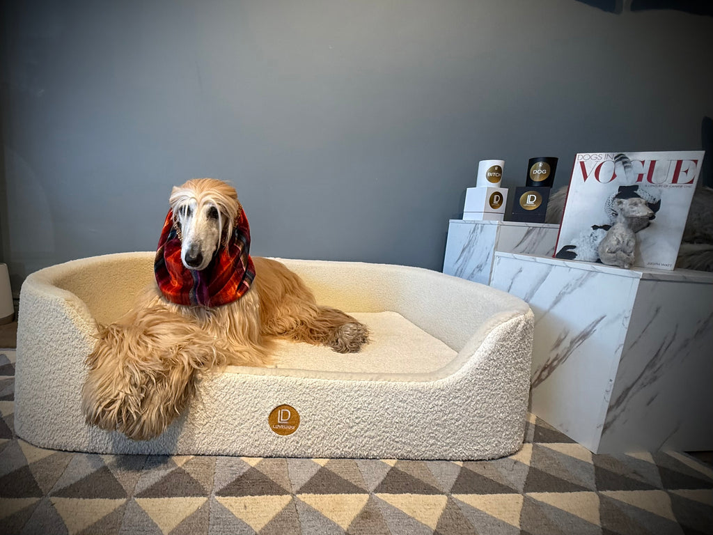 LOVEDOG Boucle LOVEMAT
