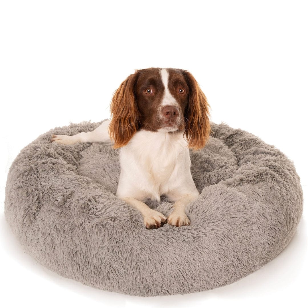 LOVECLOUD Bed