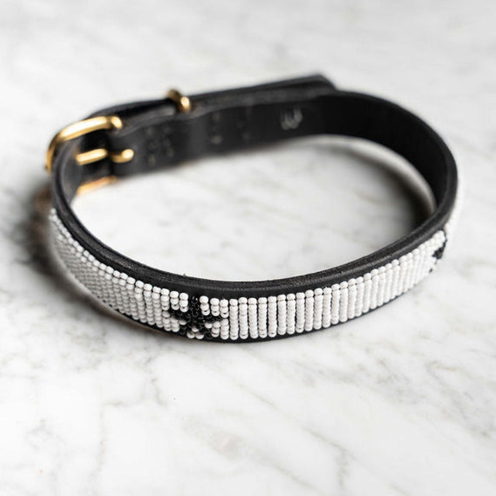 LOVEDOG White & Black Star Collar