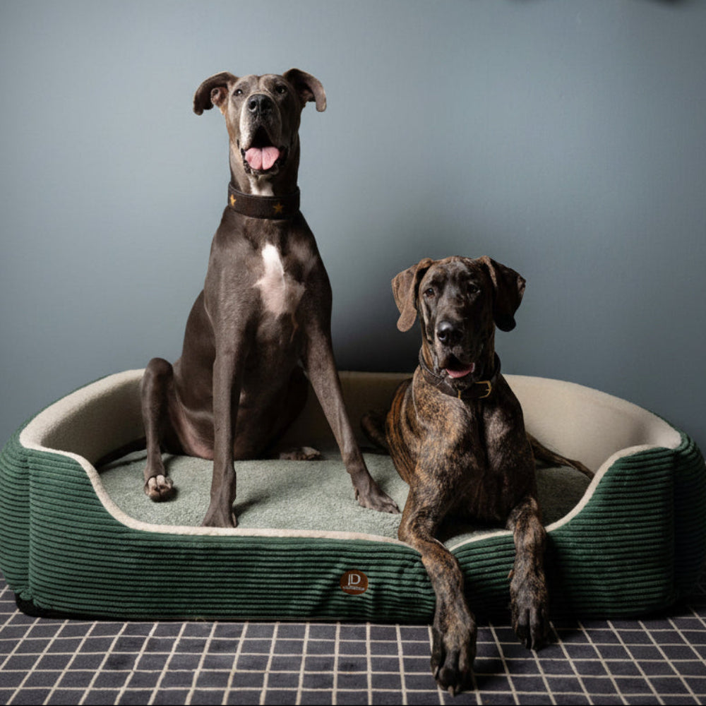 LOVEDOG LOVEMAT Edge (surround)