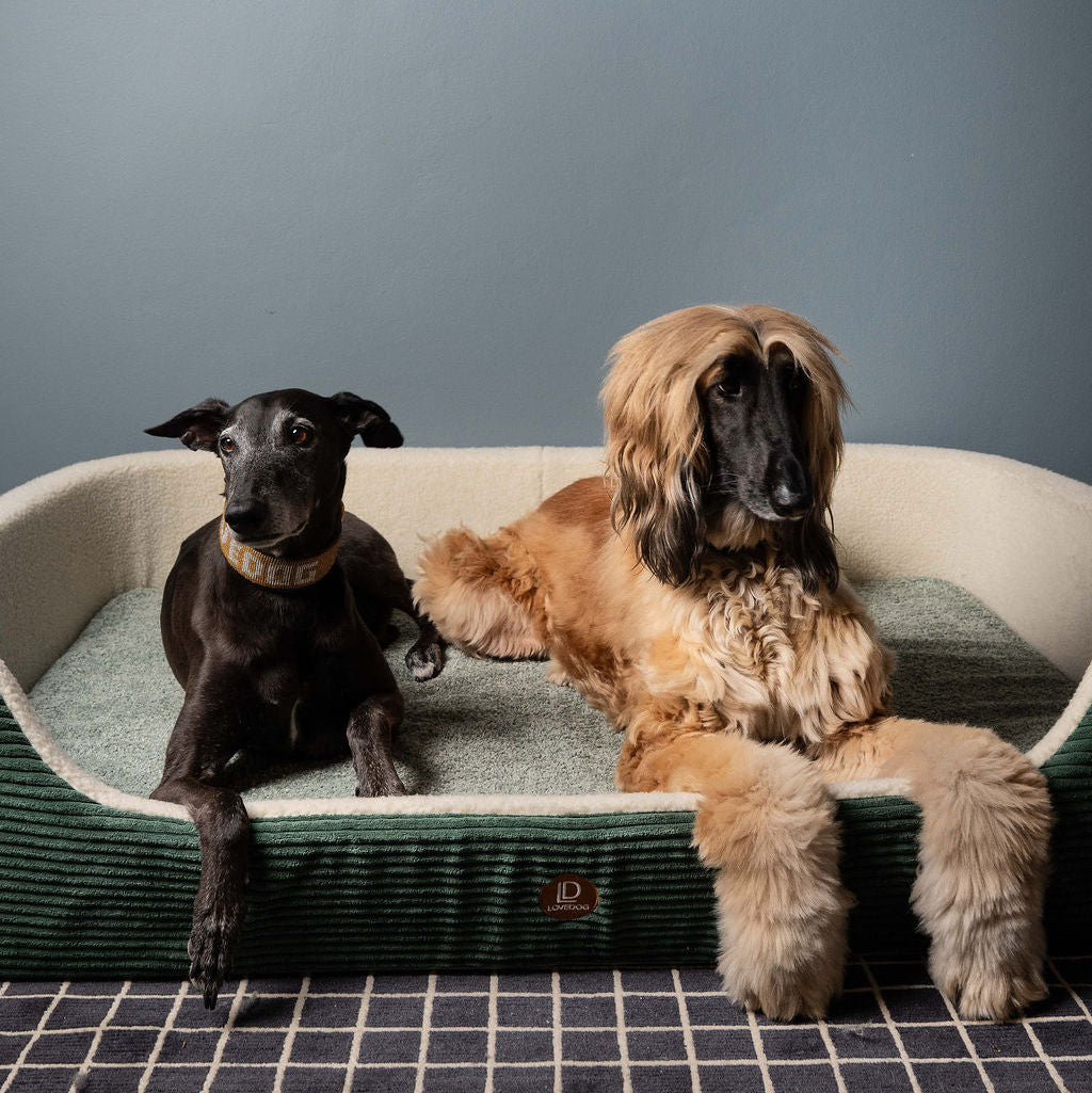 LOVEDOG LOVEMAT Edge (surround)