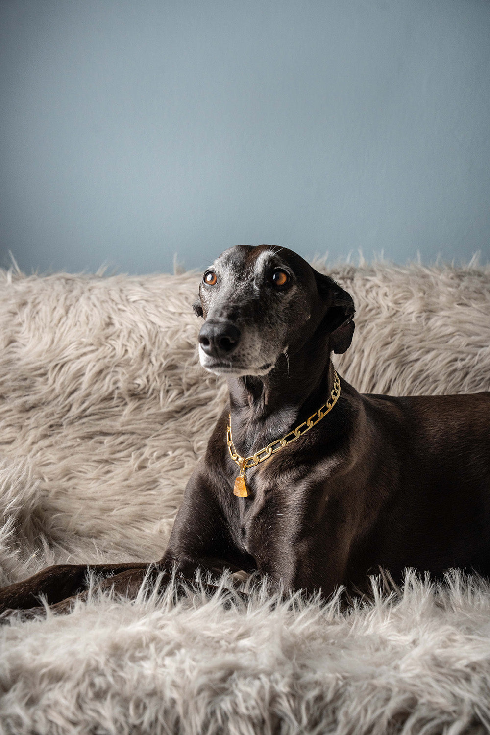 LD Birthstone: November/Citrine