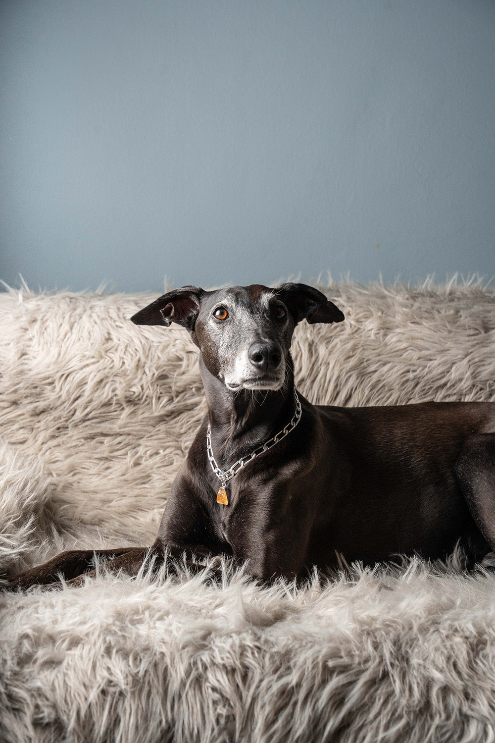 LD Birthstone: November/Citrine