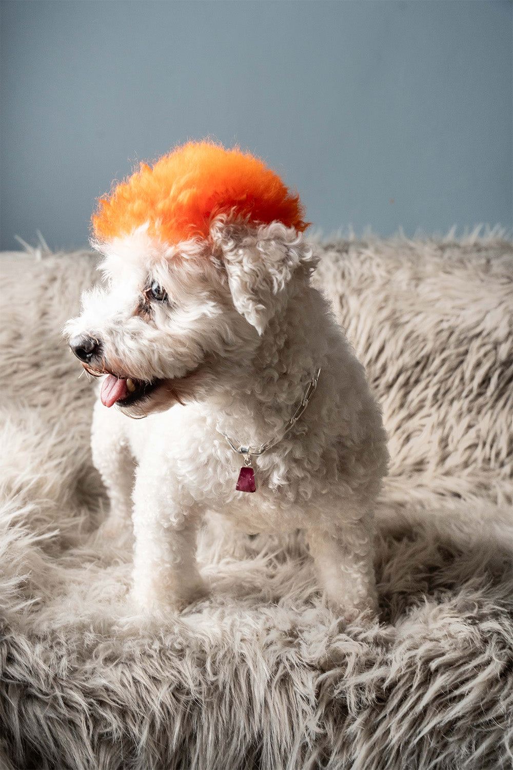 LD Birthstone: July/Ruby