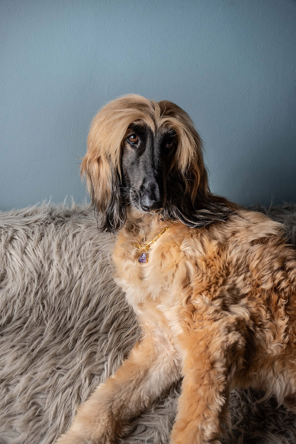 LD Birthstone: February/Amethyst