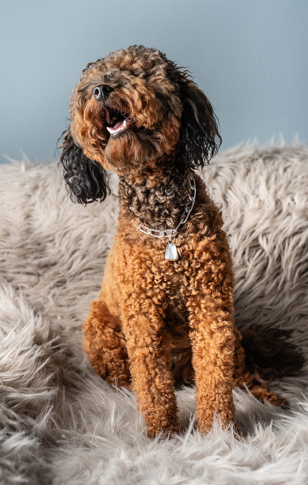 LD Birthstone: June/Pearl