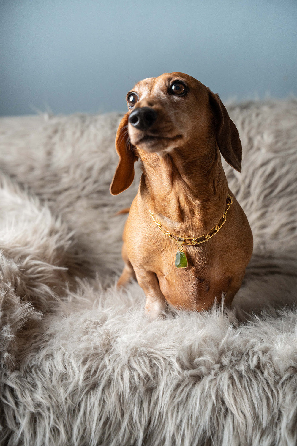 LD Birthstone: August/Peridot