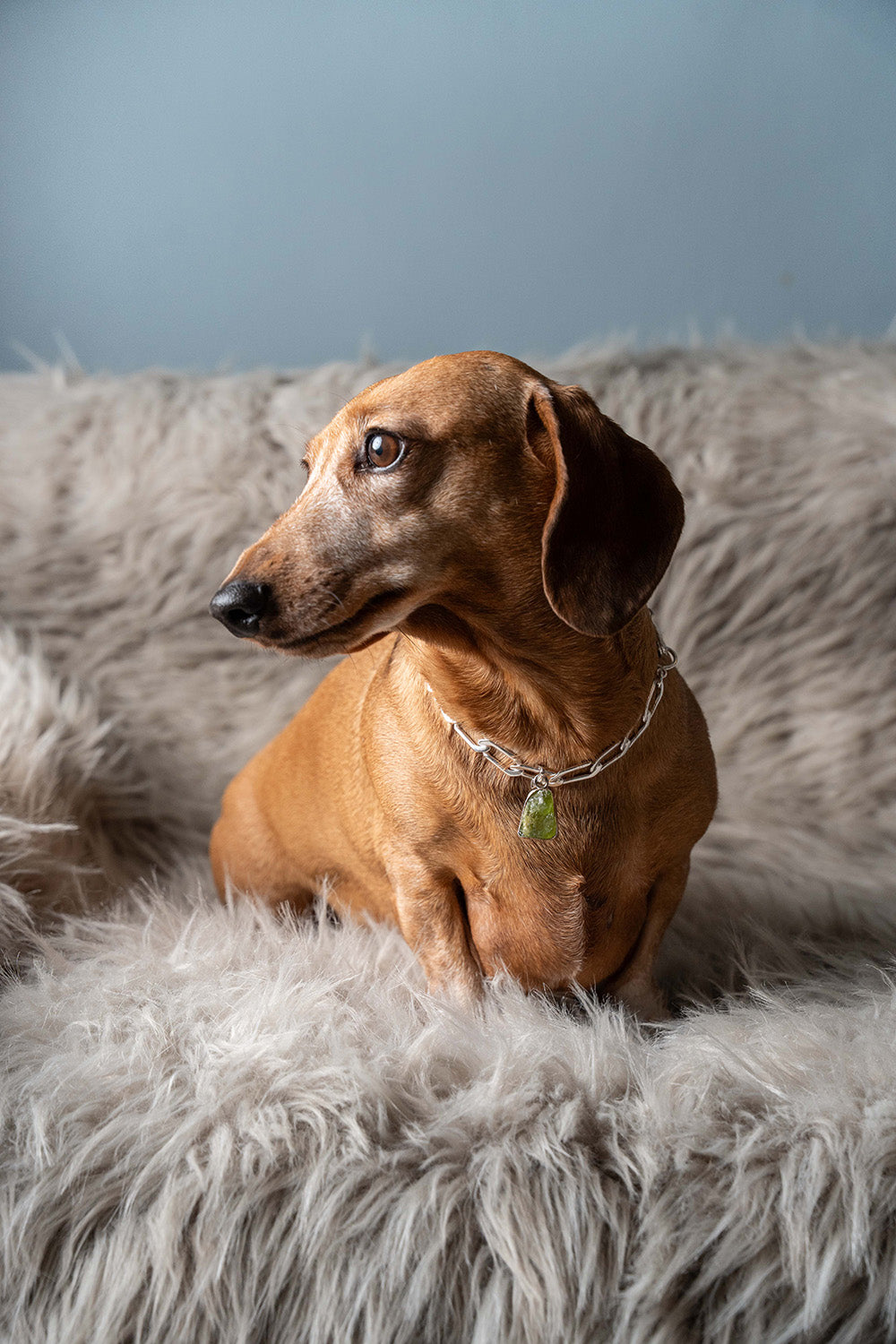 LD Birthstone: August/Peridot