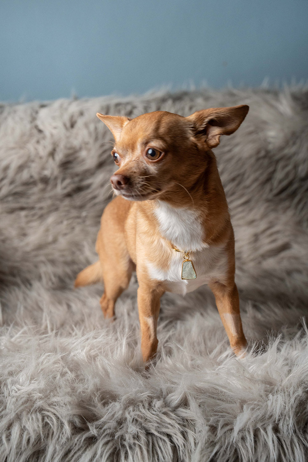 LD Birthstone: March/Aquamarine