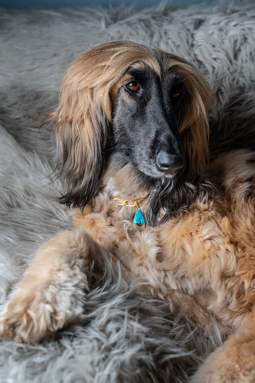 LD Birthstone: December/Turquoise