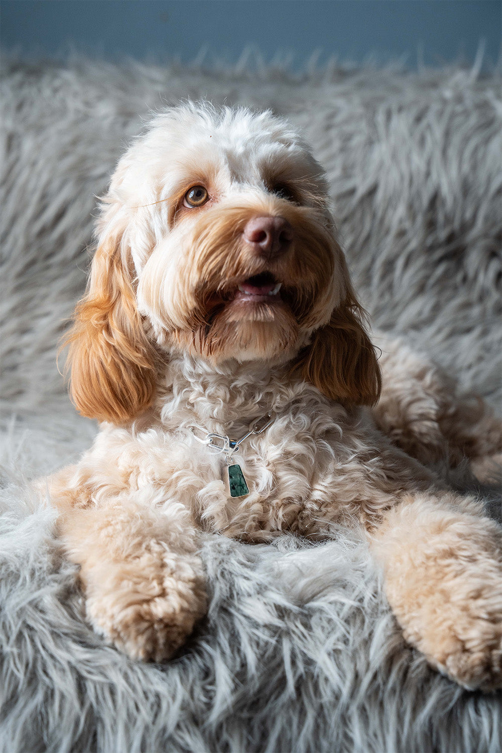 LD Birthstone: May/Emerald