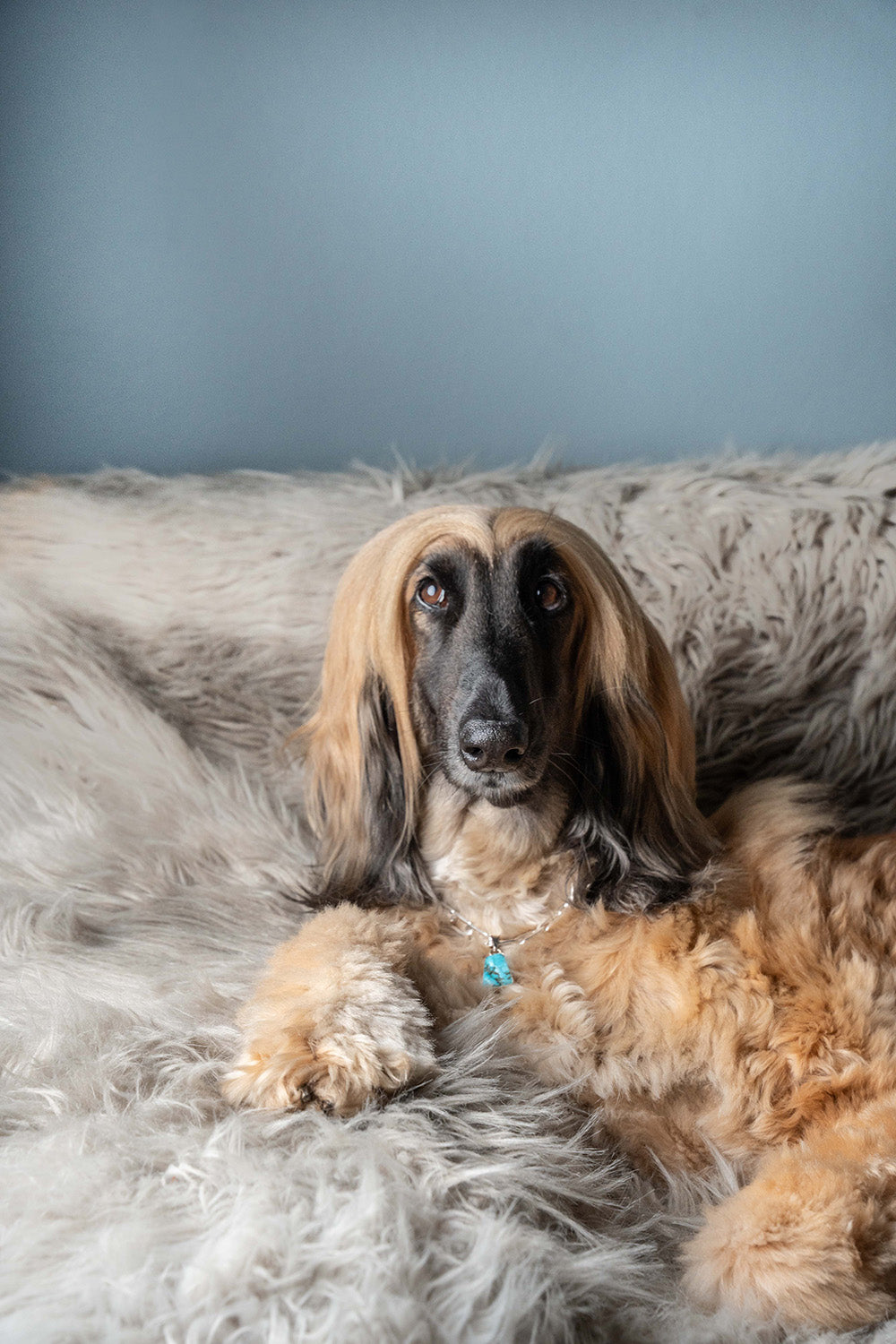 LD Birthstone: December/Turquoise