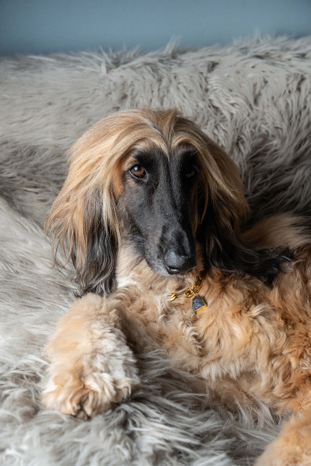 LD Birthstone: September/Sapphire