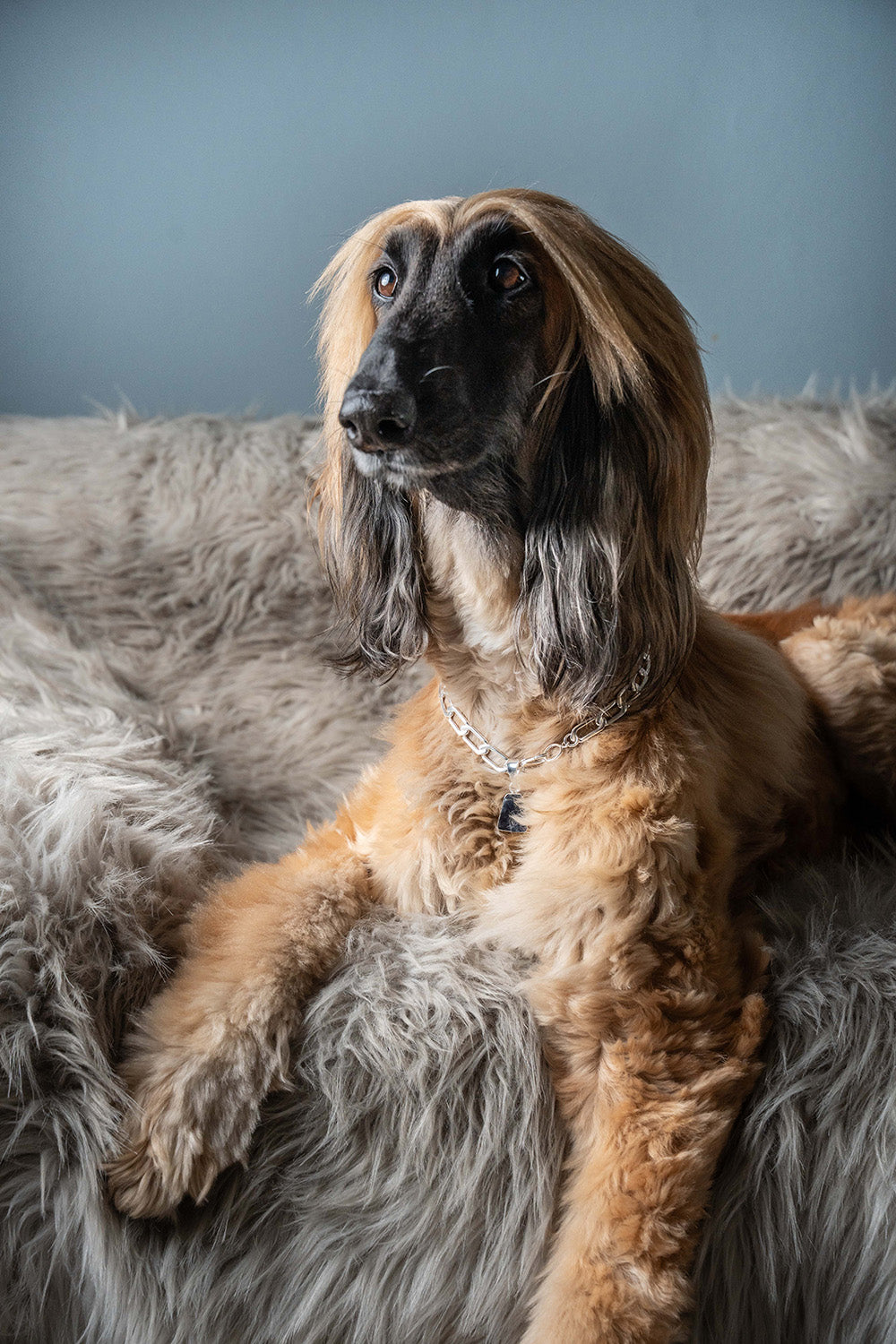 LD Birthstone: September/Sapphire