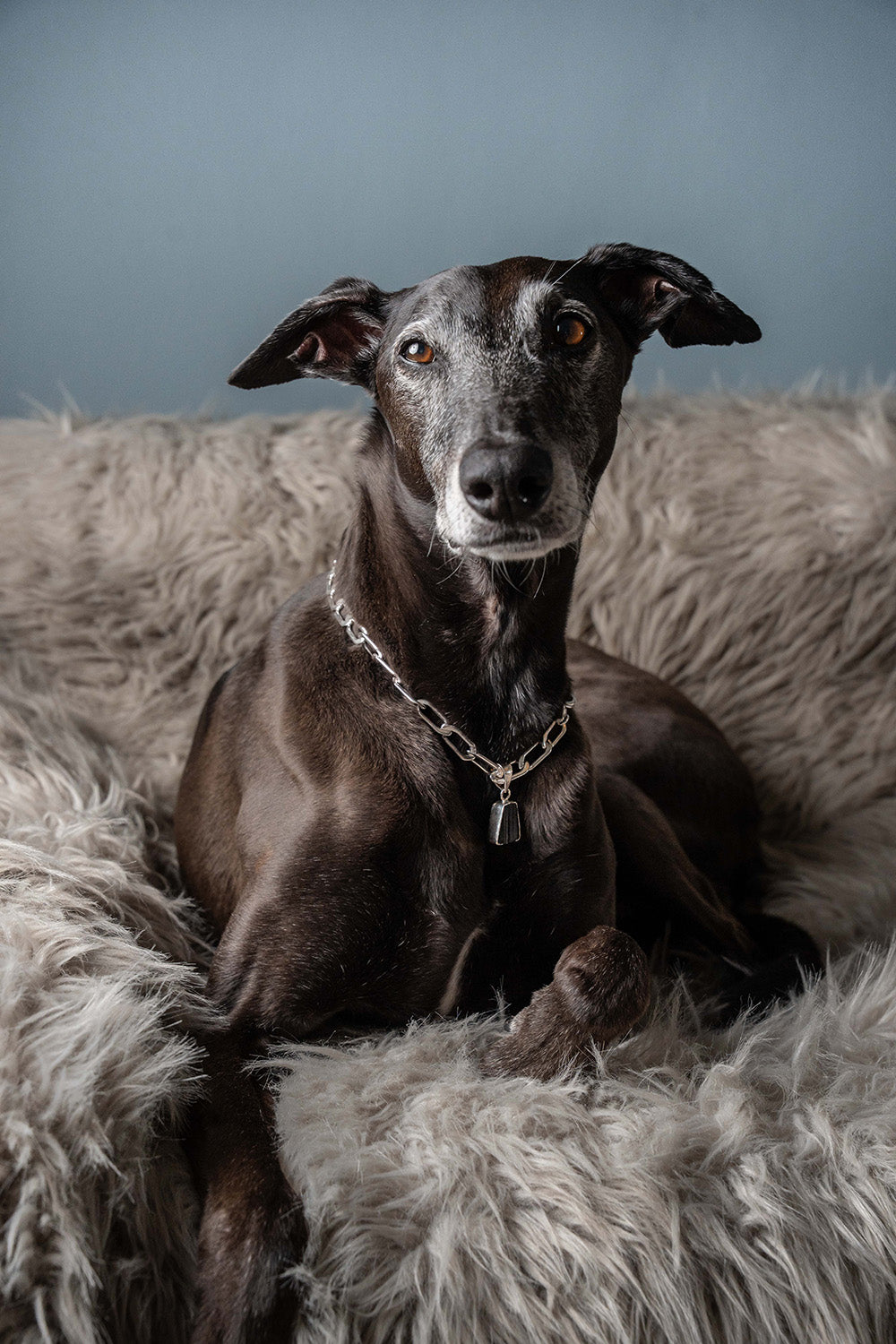 LD Birthstone: October/Tourmaline