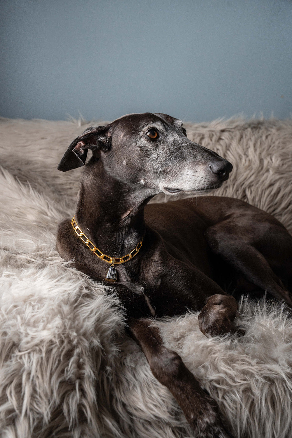 LD Birthstone: October/Tourmaline