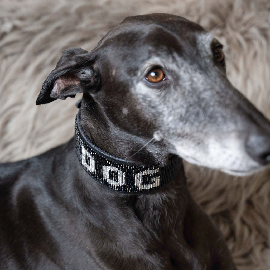 LOVEDOG DOG Collar Black Bead Silver Letters - Wide